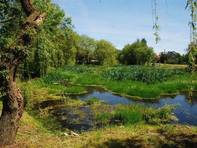 Wiejskie stawy będą pogłębione